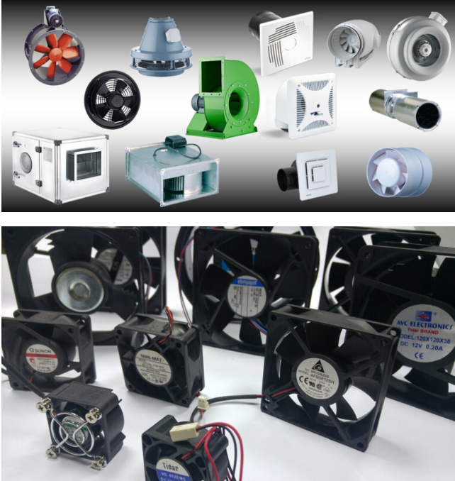 FAN GRUPLARI